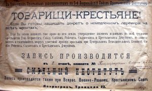 26 ноября — 10 декабря. К товарищам крестьянам делегированным на 2-й Всероссийский съезд крестьянских депутатов. Листовка. Пг., 1917